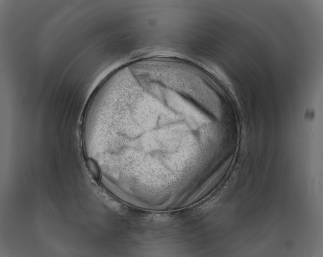 X0000088901190200707061447