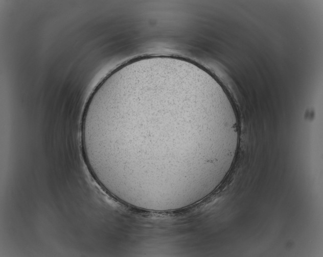 X0000088901191200707061447