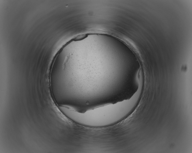 X0000088901192200707061447