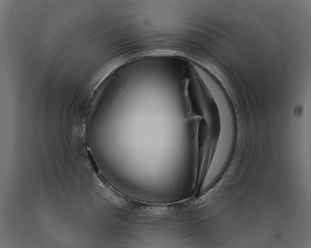 X0000088901193200707061447