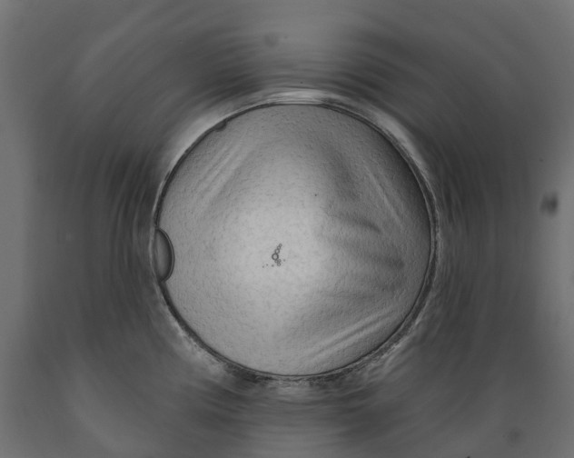 X0000088901194200707061447