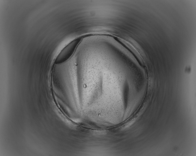 X0000088901196200707061447