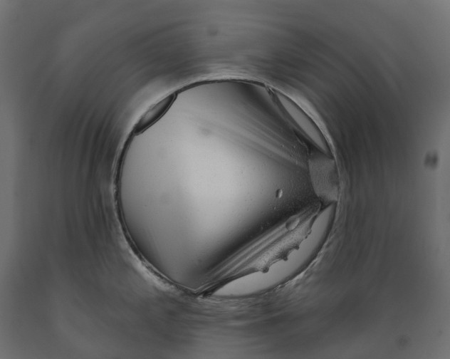 X0000088901197200707061447