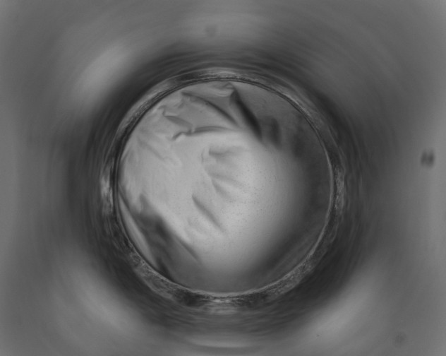 X0000088901198200707061447