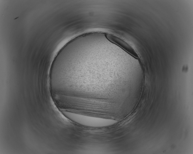 X0000088901199200707061447