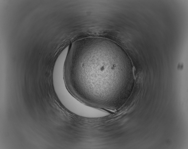 X0000088901202200707061447