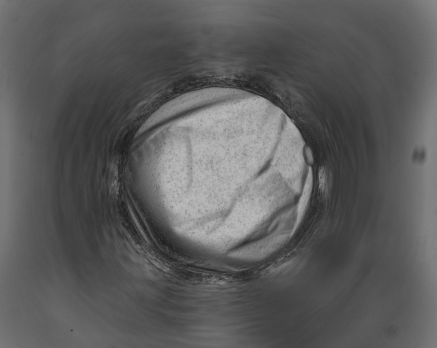 X0000088901203200707061447