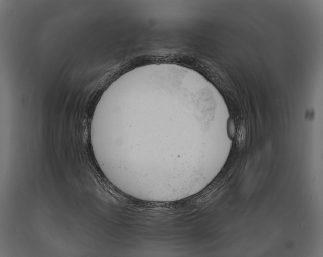 X0000088901204200707061447