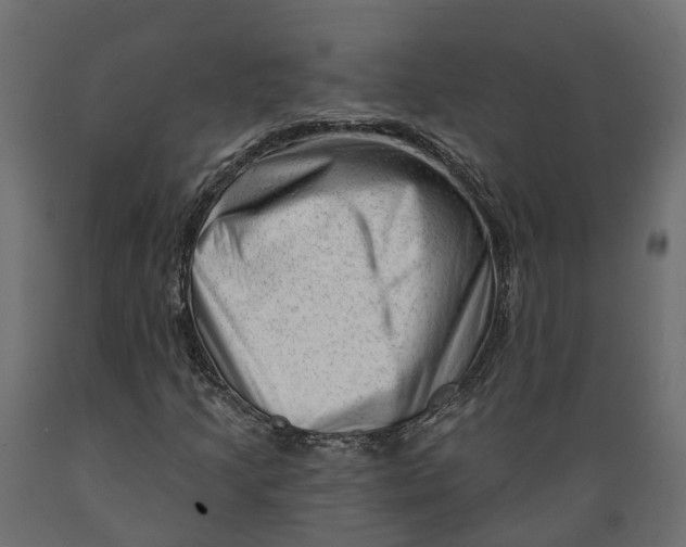 X0000088901205200707061447