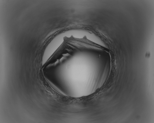 X0000088901206200707061447