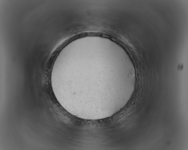 X0000088901208200707061447