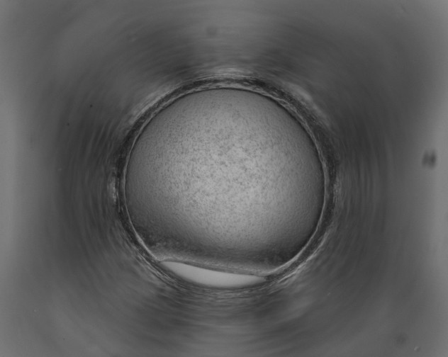 X0000088901209200707061447