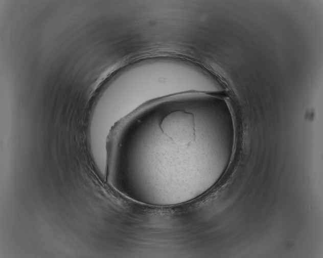 X0000088901210200707061447