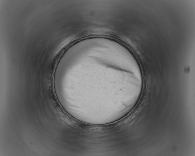 X0000088901211200707061447