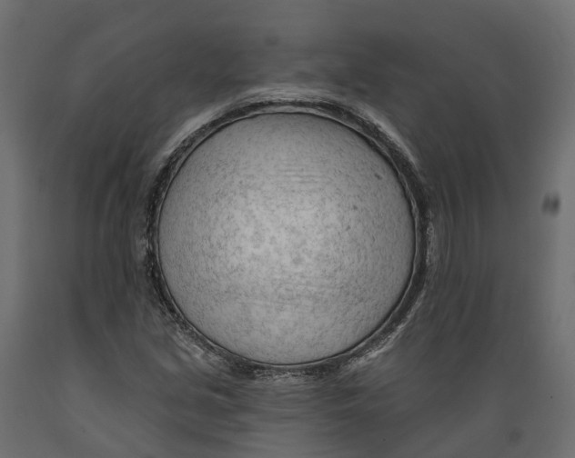 X0000088901213200707061447