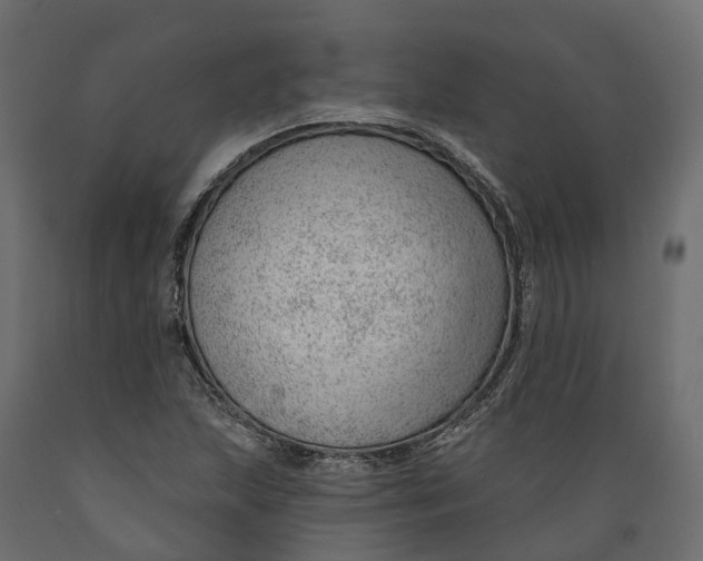 X0000088901215200707061447