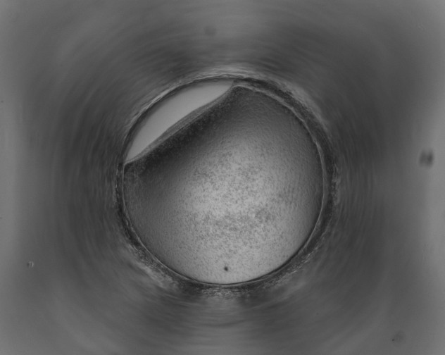 X0000088901217200707061447