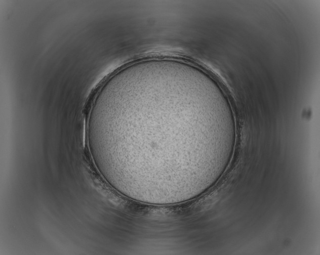 X0000088901219200707061447