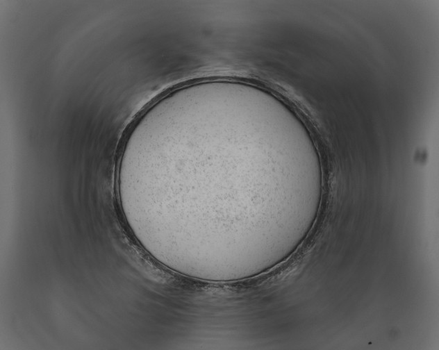 X0000088901220200707061447