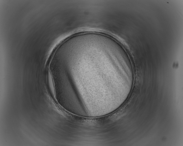 X0000088901223200707061447