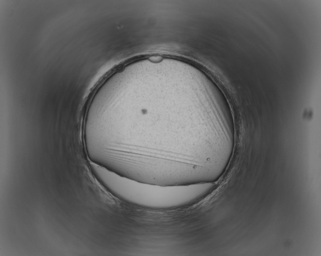 X0000088901224200707061447