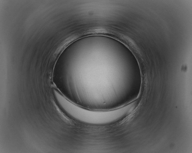 X0000088901225200707061447