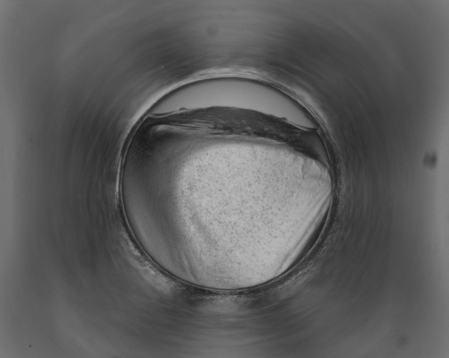 X0000088901228200707061447