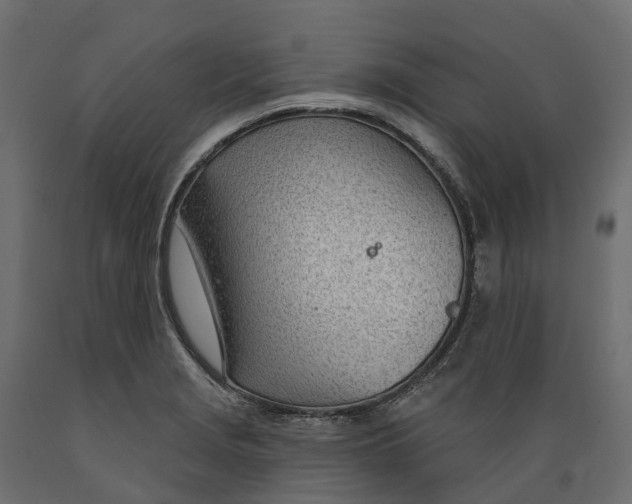 X0000088901229200707061447