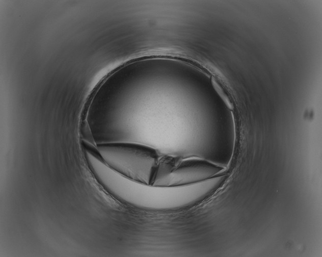 X0000088901230200707061447