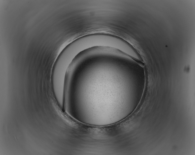 X0000088901234200707061447