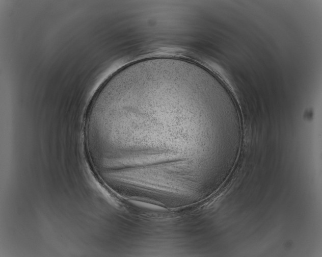 X0000088901235200707061447