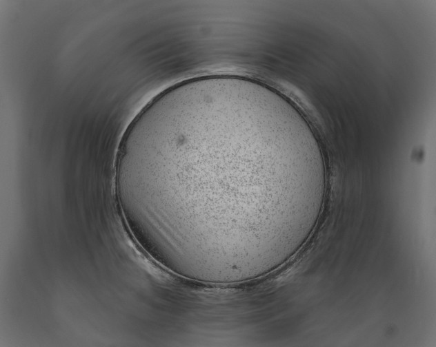 X0000088901236200707061447