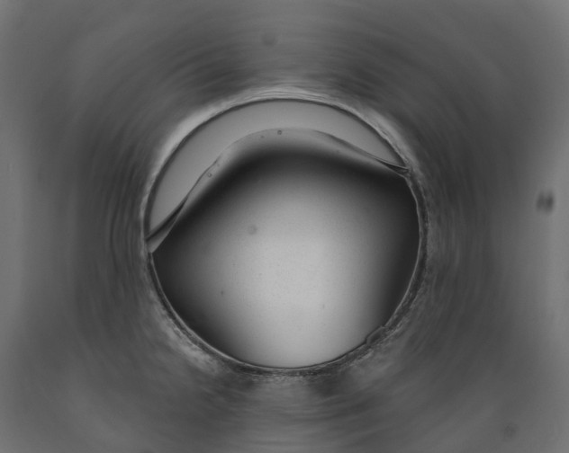 X0000088901238200707061447