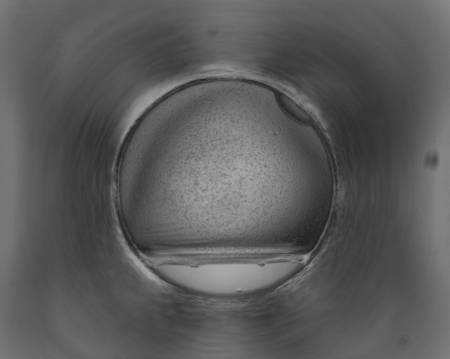 X0000088901239200707061447