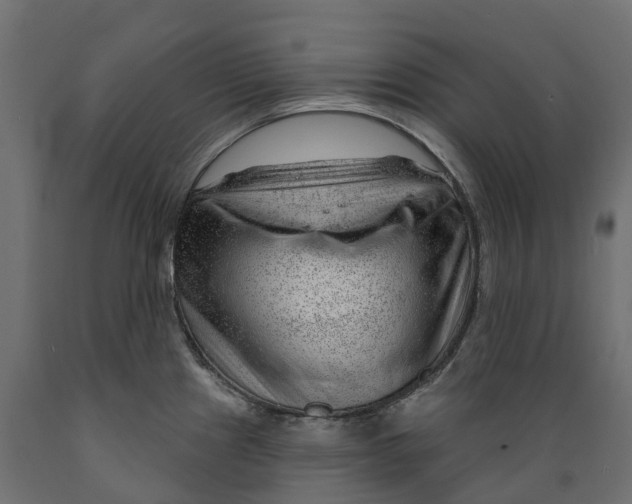 X0000088901241200707061447