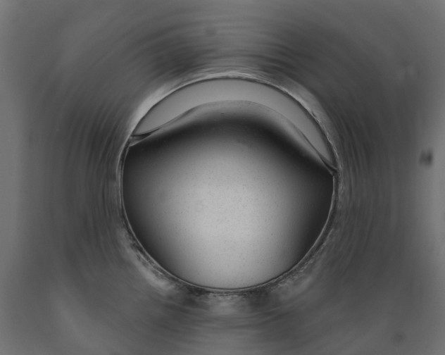 X0000088901242200707061447