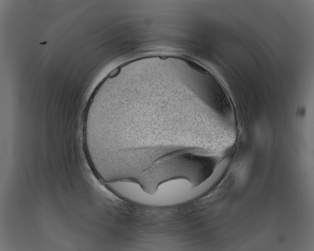 X0000088901243200707061447