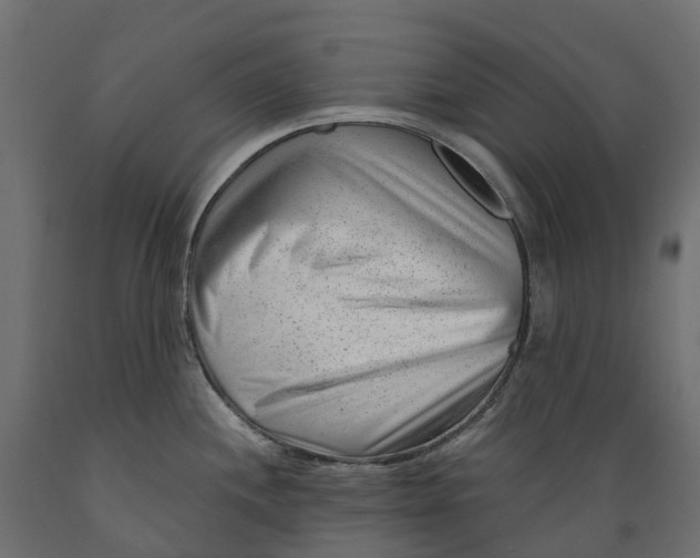 X0000088901244200707061447