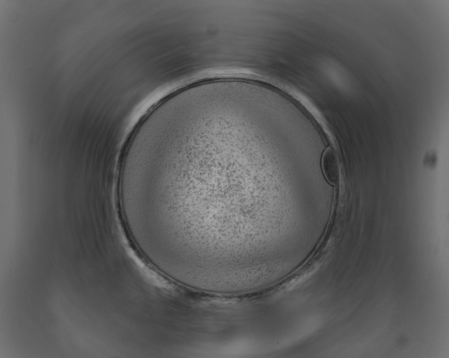 X0000088901245200707061447