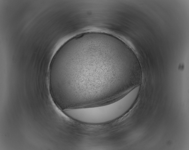 X0000088901247200707061447