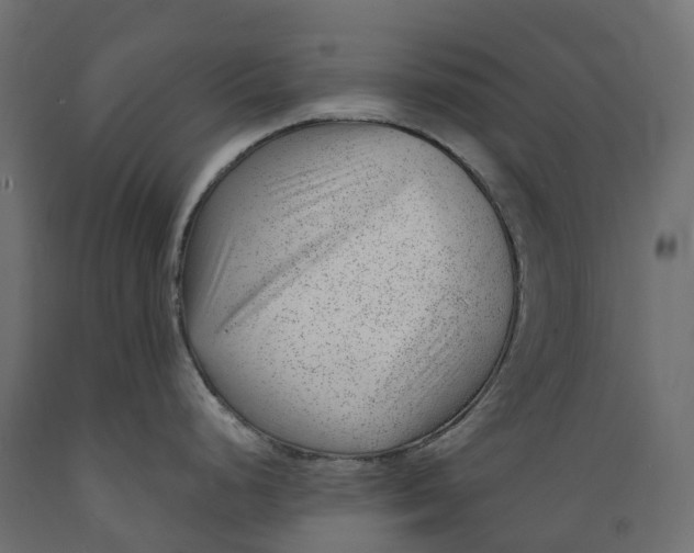 X0000088901248200707061447