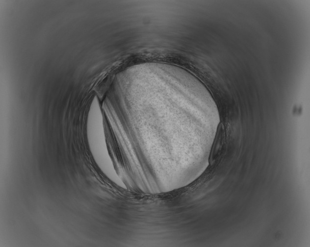 X0000088901250200707061447