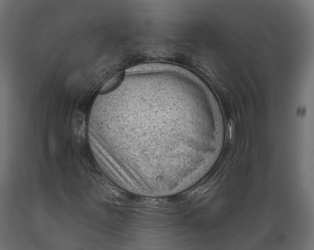 X0000088901251200707061447