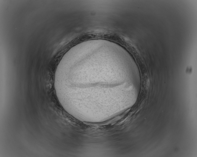 X0000088901253200707061446