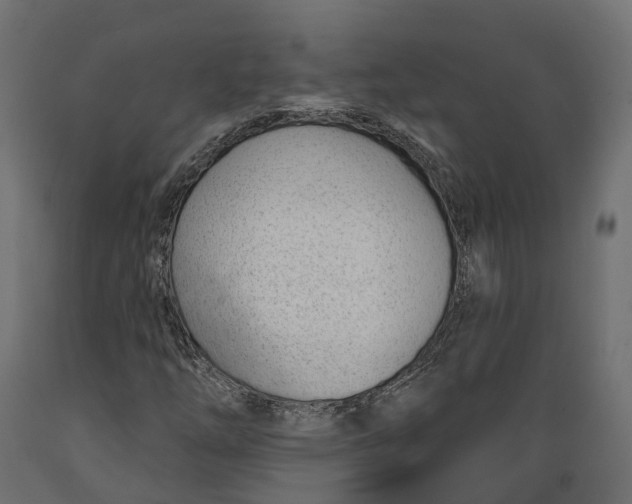 X0000088901254200707061446