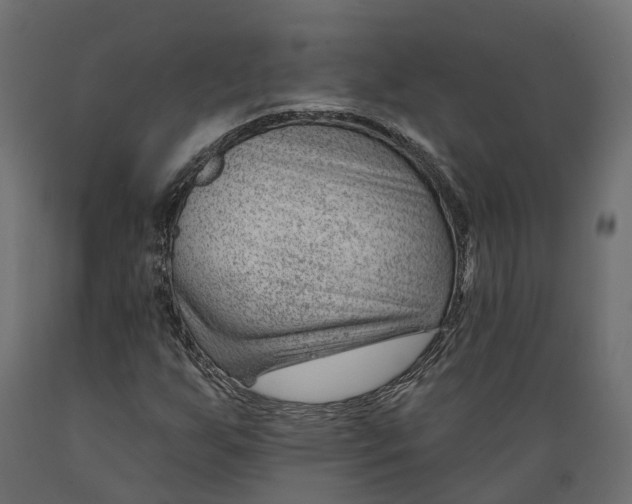 X0000088901255200707061446