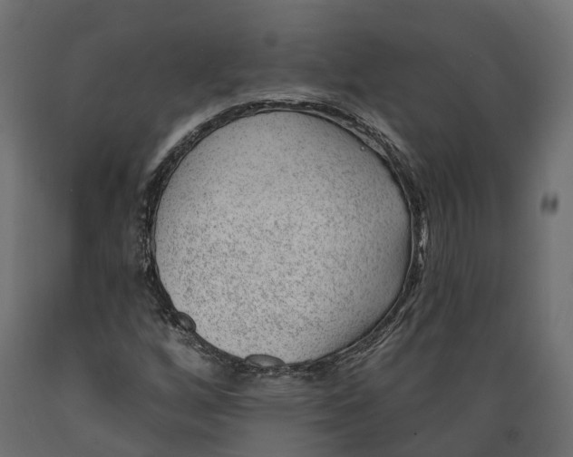 X0000088901256200707061446