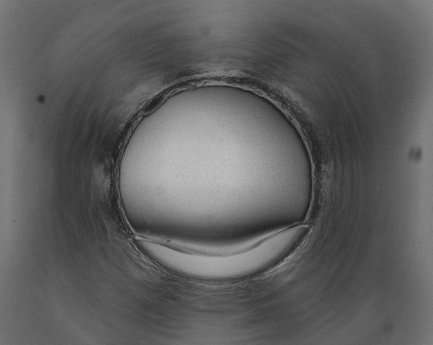 X0000088901257200707061446