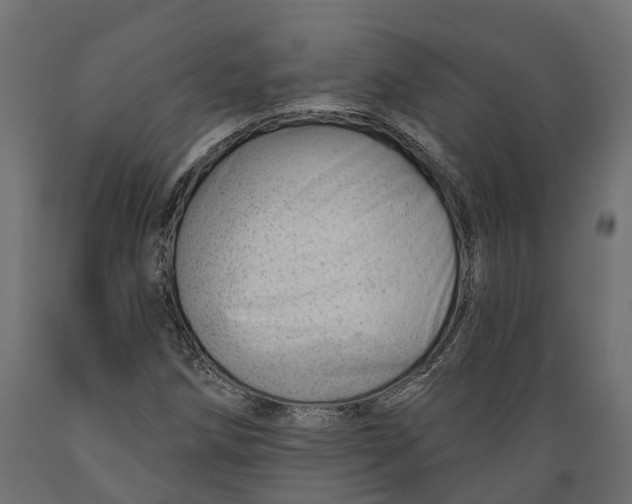 X0000088901258200707061446