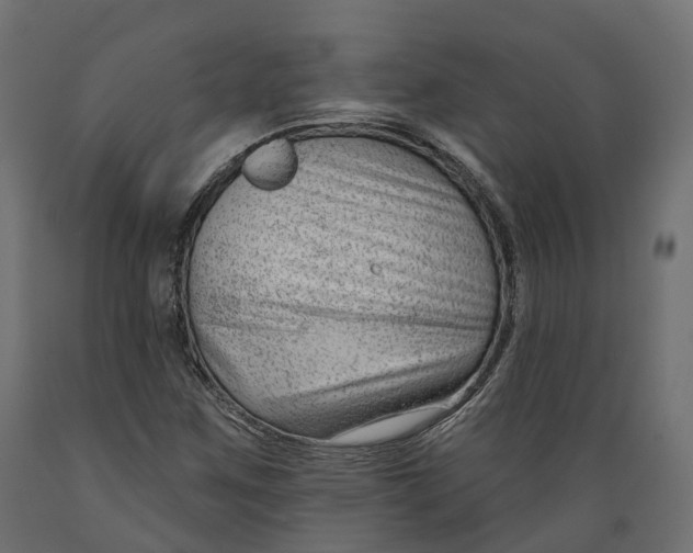 X0000088901259200707061446